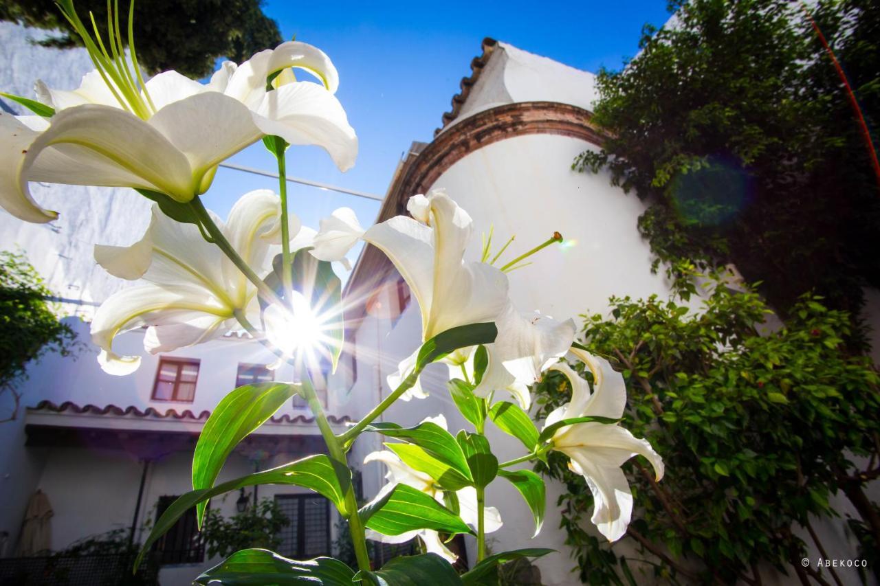 Casa Del Siglo XVII Villa Sevilla Kültér fotó